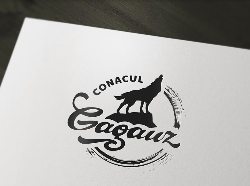 Conacul Gagauz
